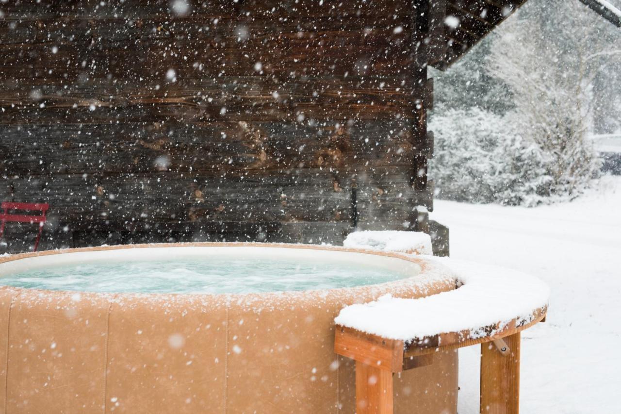 Chalet Sur Les Monts Morzine Montriond Kültér fotó